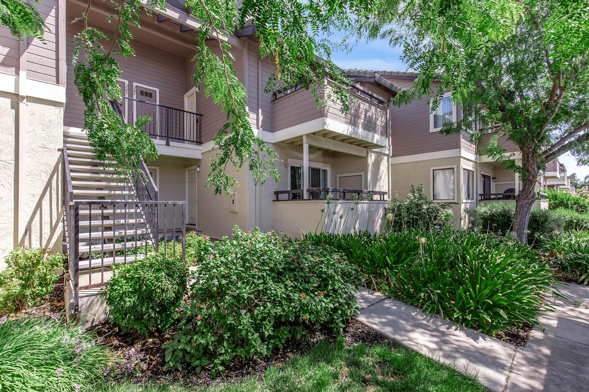 Peppertree Apartments photo 3